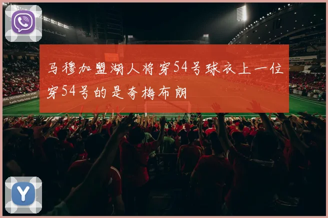 马穆加盟湖人将穿54号球衣上一位穿54号的是夸梅布朗